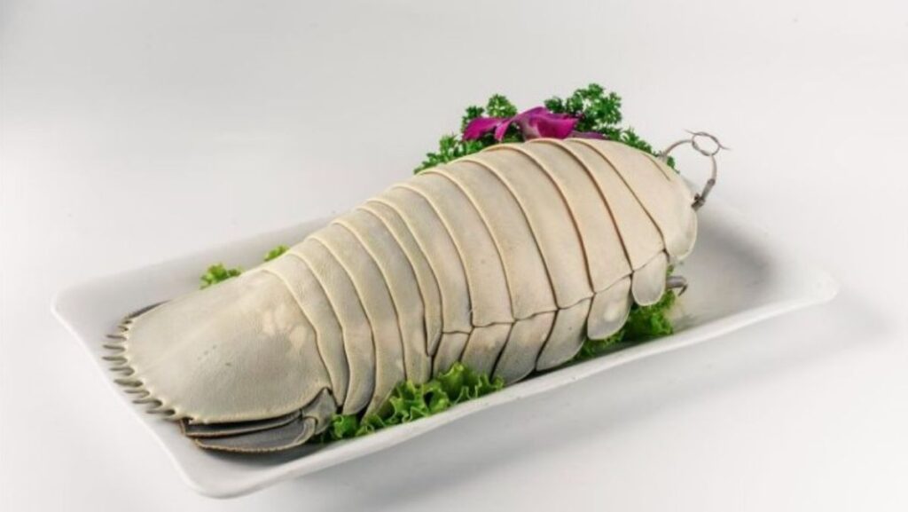 Bọ biển là con gì? Giá bọ biển? Món ngon từ con bọ biển