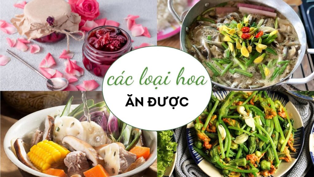 Điểm danh 17 tên các loại hoa ăn được và cách chế biến món ngon từ hoa