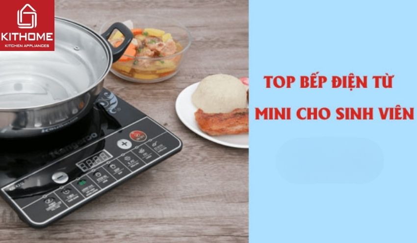 Top 10+ bếp điện từ mini cho sinh viên giá rẻ, chất lượng tốt nhất