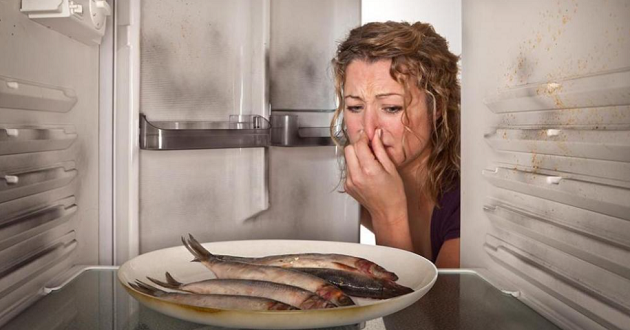 Hướng dẫn 9 cách khử mùi tủ lạnh bị hôi, bị thối dễ và hiệu quả nhất - Gợi ý Kithome