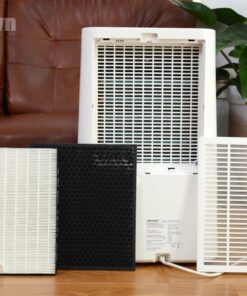 Máy hút ẩm và lọc không khí Sharp DW-E16FA-W (38m2)