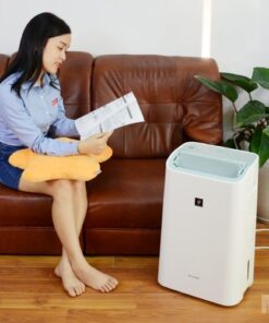 Máy hút ẩm và lọc không khí Sharp DW-E16FA-W (38m2)