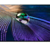 Android Tivi OLED Sony 4K 55 inch XR-55A90J