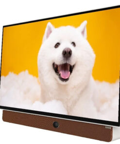 Google tivi xách tay Coocaa FHD 24 inch 24LP6000G