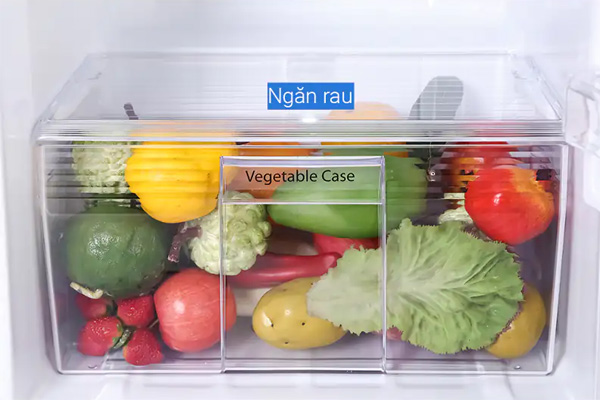 Tủ lạnh Panasonic Inverter 234L NR-TV261APSV