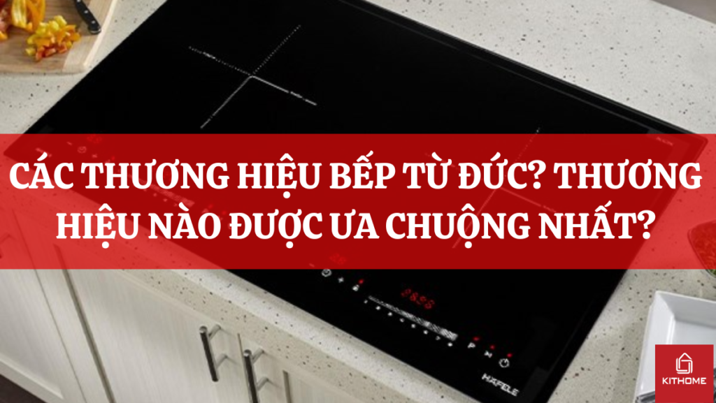 CÁC THƯƠNG HIỆU BẾP TỪ ĐỨC? THƯƠNG HIỆU NÀO ĐƯỢC ƯA CHUỘNG NHẤT?