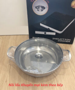 Bếp từ Eurosun EU-T197