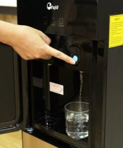 Cây nước nóng lạnh cao cấp 2 vòi FujiE WD1700C