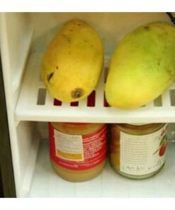 Cây nước nóng lạnh cao cấp 2 vòi FujiE WD1700C