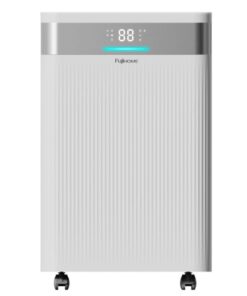 Máy hút ẩm dân dụng Fujihome DH20NW