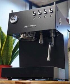 Máy pha cà phê Ascaso Duo 19