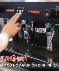 Máy pha cà phê chuyên nghiệp Wega Pegaso 2 Group