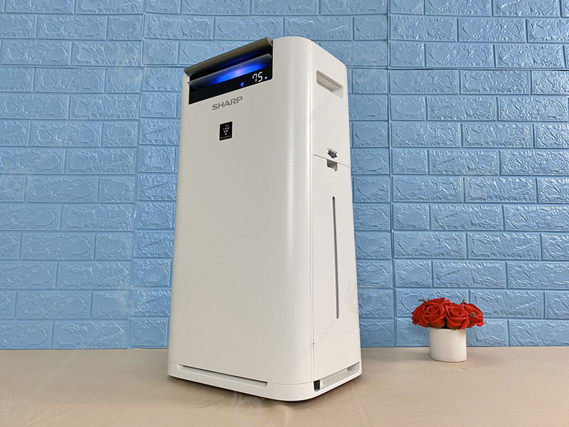 Có Nên Mua Máy Lọc Không Khí Tạo Ẩm? Lợi Ích & Gợi Ý Top 3 Sản Phẩm Bán Chạy Nhất