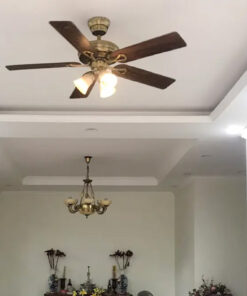 Quạt trần Hunter Savoy 24520