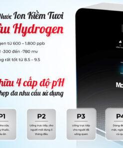 Máy biến đổi nước RO thành nước ion kiềm tươi Makano MN068