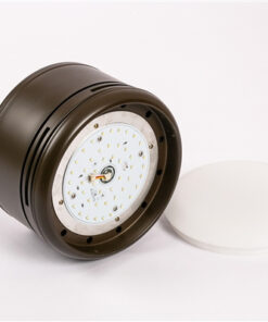 Quạt trần Kaiyokukan NAGO 594