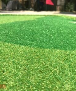 Thảm tập golf Putting GOMIP31