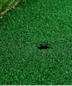 Thảm tập Swing golf PGM DJD005