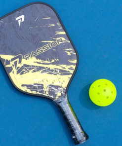 Vợt Pickleball Passion Hybrid H102
