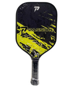 Vợt Pickleball Passion Hybrid H102