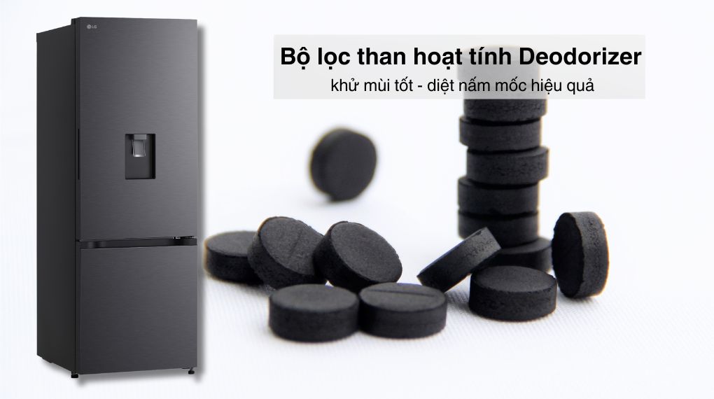 Khám phá những điểm nổi bật của tủ lạnh LG LBD33BLM không thể bỏ lỡ