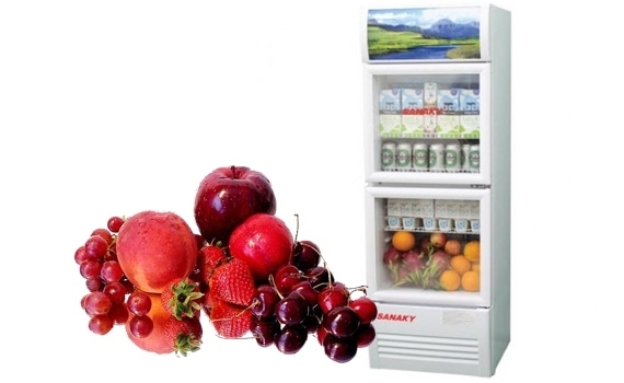 Lý do bạn nên lựa chọn tủ mát Sanaky inverter cho cửa hàng của mình [2025] - Gợi ý Kithome