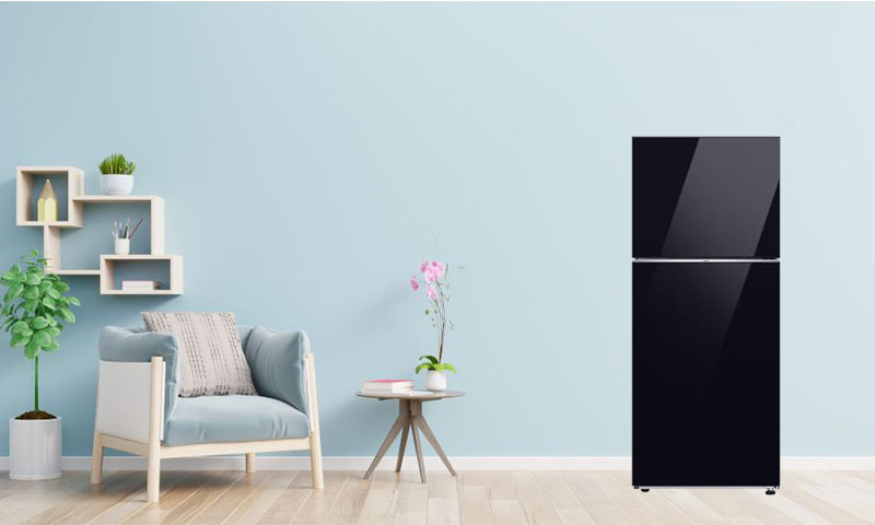 Lý do mà bạn nên mua tủ lạnh Samsung 2 cánh RT38CB668422SV